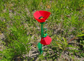Build a Poppy from LEGO® parts
