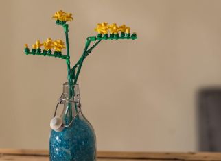 From banana peel to freesia