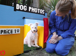 A LEGO® photo booth that your dog can use to take a selfie