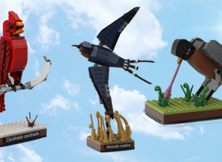 Build these 3 cool LEGO® bird MOCs from bric.ole (free building instructions)