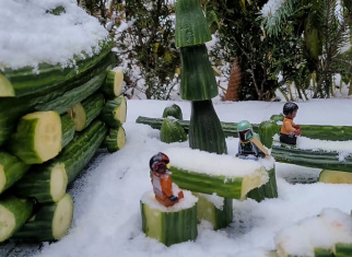 See how you can build a cucumber house with LEGO®!