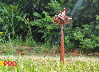 Build a stork's nest