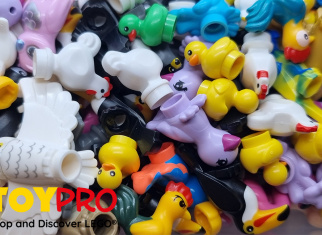 LEGO® Birds