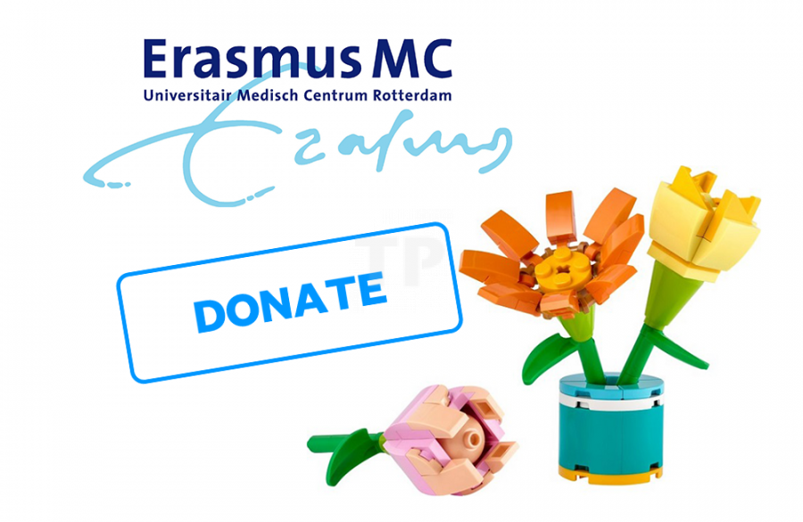 Dona un set di fiori!