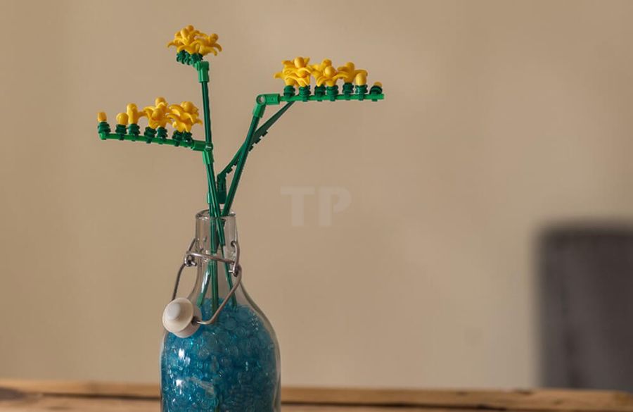 From banana peel to freesia