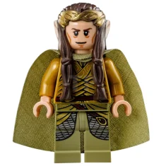 LEGO Witch-king Battle