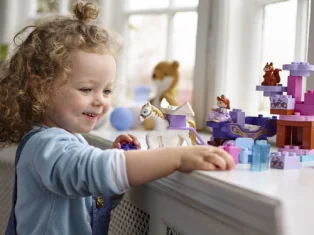 LEGO Sofia the First Magical Carriage