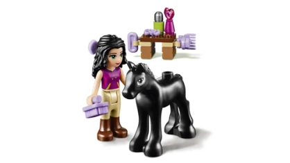 LEGO Foal's Washing Station