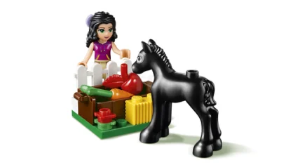 LEGO Foal's Washing Station