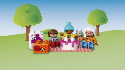LEGO Birthday Picnic