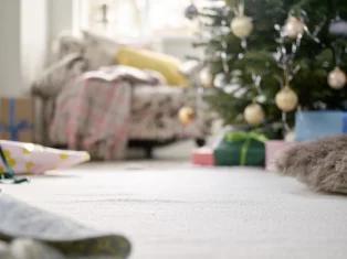 LEGO Santa's Winter Holiday