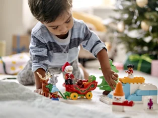 LEGO Santa's Winter Holiday