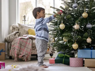 LEGO Santa's Winter Holiday