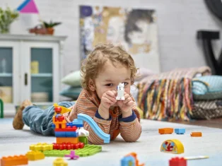 LEGO Fun Family Fair