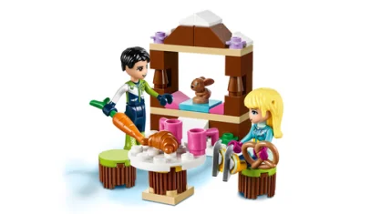 LEGO Snow Resort Ice Rink