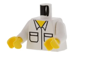 LEGO Torso (complete) with Shirt Pattern