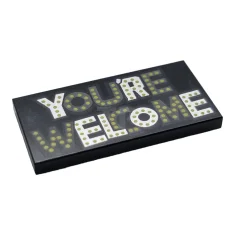 LEGO Tile 2 x 4 with 'YOU'RE WELCOME' Pattern