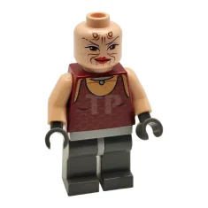 LEGO Sugi