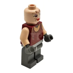 LEGO Sugi