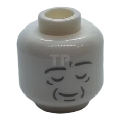 LEGO Minifigur, Kopf beidseitig außerirdisch, leicht bläulich-graue Gesichtsumrisse und -konturen, neutrales…