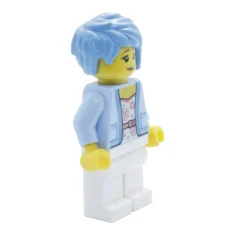 LEGO Visiteur des montagnes russes