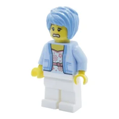 LEGO Visiteur des montagnes russes