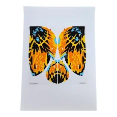 LEGO Sheet for Set 75576