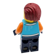 LEGO Explorateur de l'Arctique