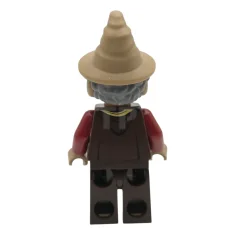 LEGO Proprietario del negozio