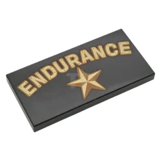 LEGO Fliese 2 x 4 mit "ENDURANCE" und Sternmuster