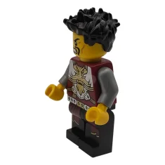 LEGO Ray - Erfenis