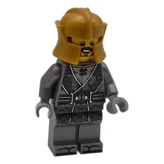 LEGO Meester van de Aarde