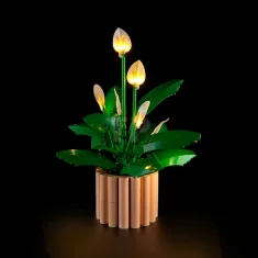 LEGO Lichtset voor LEGO® 11504 Vredeslelie