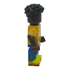 LEGO Vini Jr.