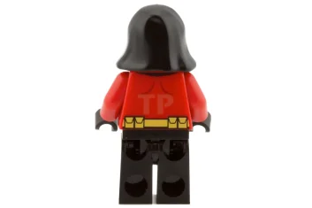 LEGO Robin