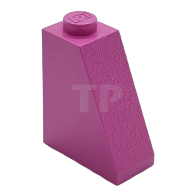 LEGO&reg; 6062343 - 60481 - Neigung 65° 2 x 1 x 2