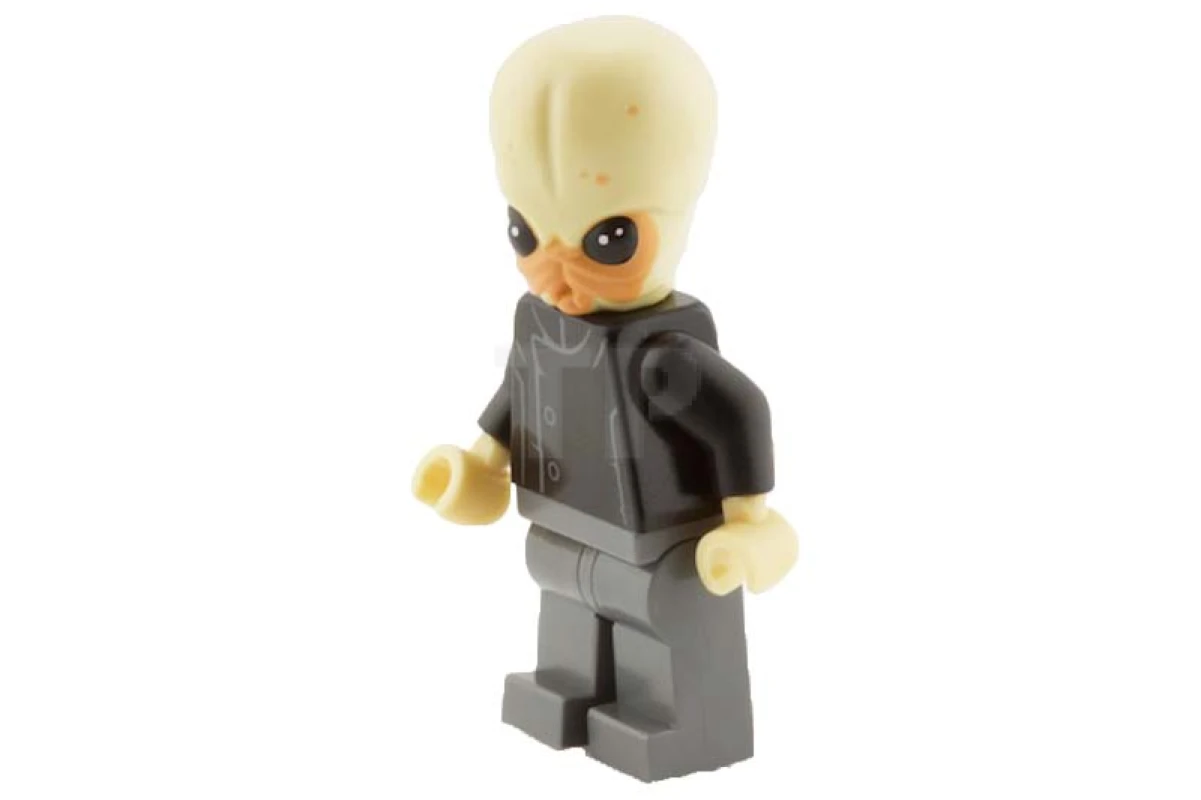 LEGO&reg; sw0554 Músico Bith