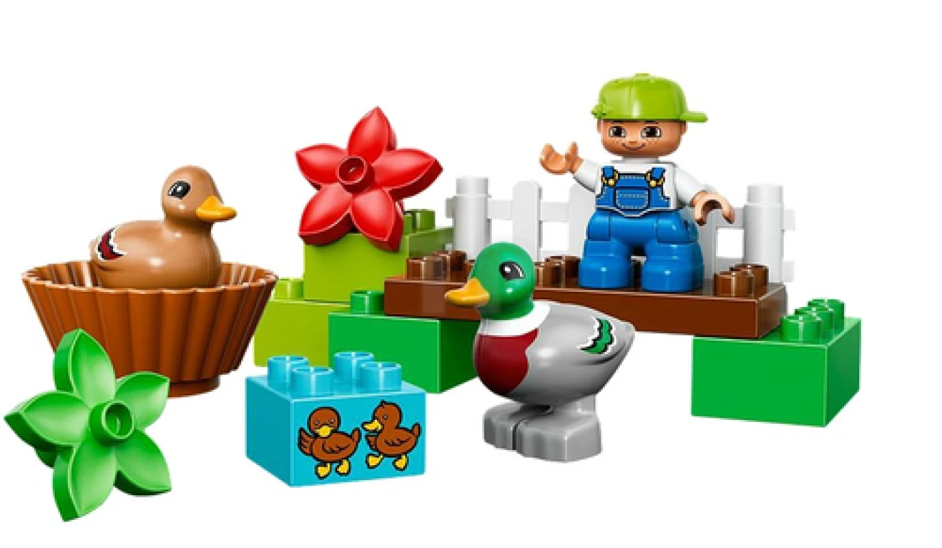 LEGO&reg; 10581 Forest: Ducks