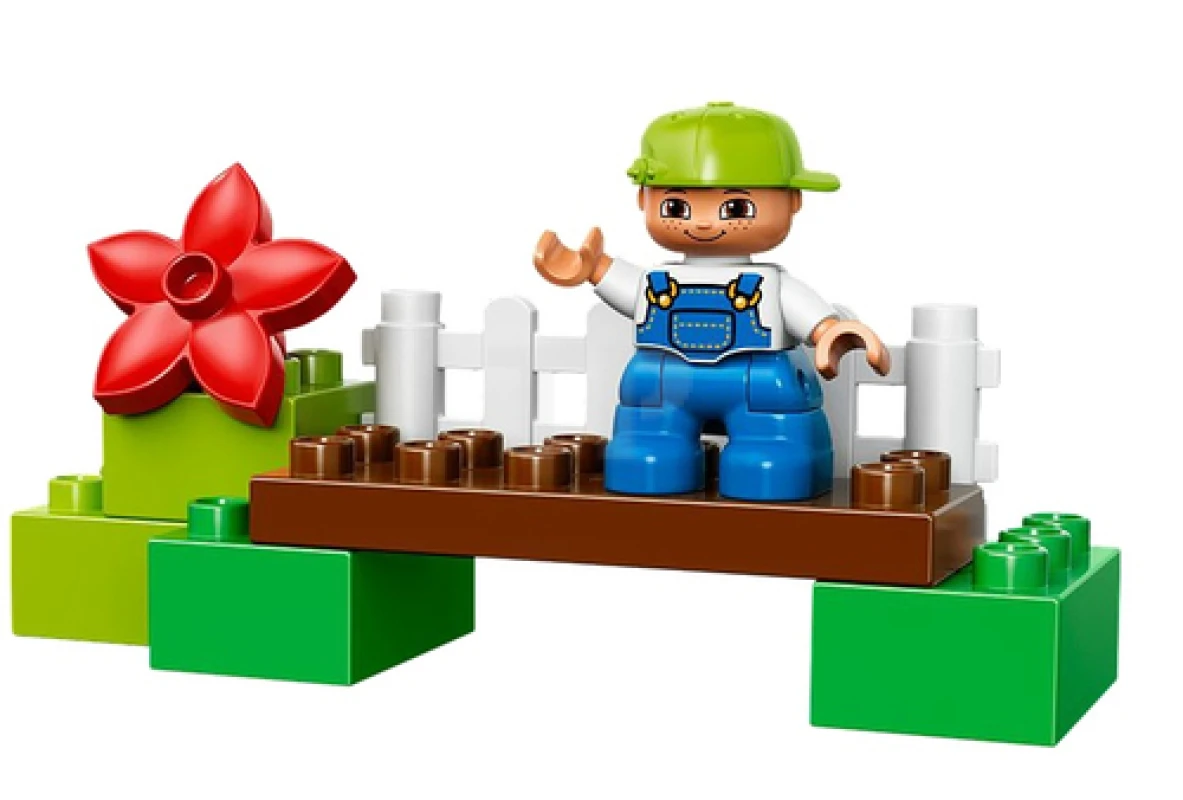 LEGO&reg; 10581 Forest: Ducks