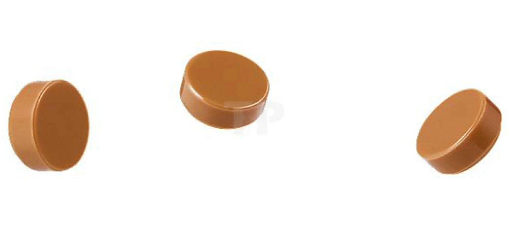 LEGO&reg; 31031 Rainforest Animals