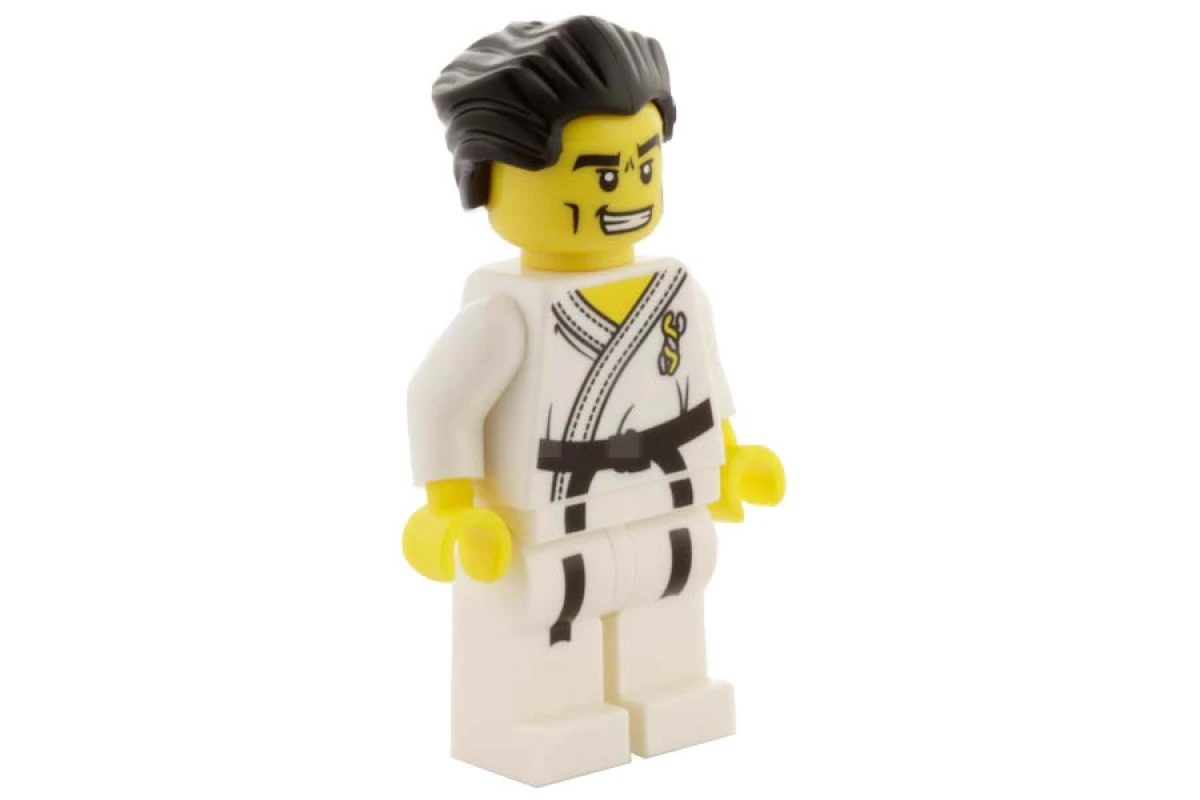 LEGO&reg; col030 Karate Master (without accessories)