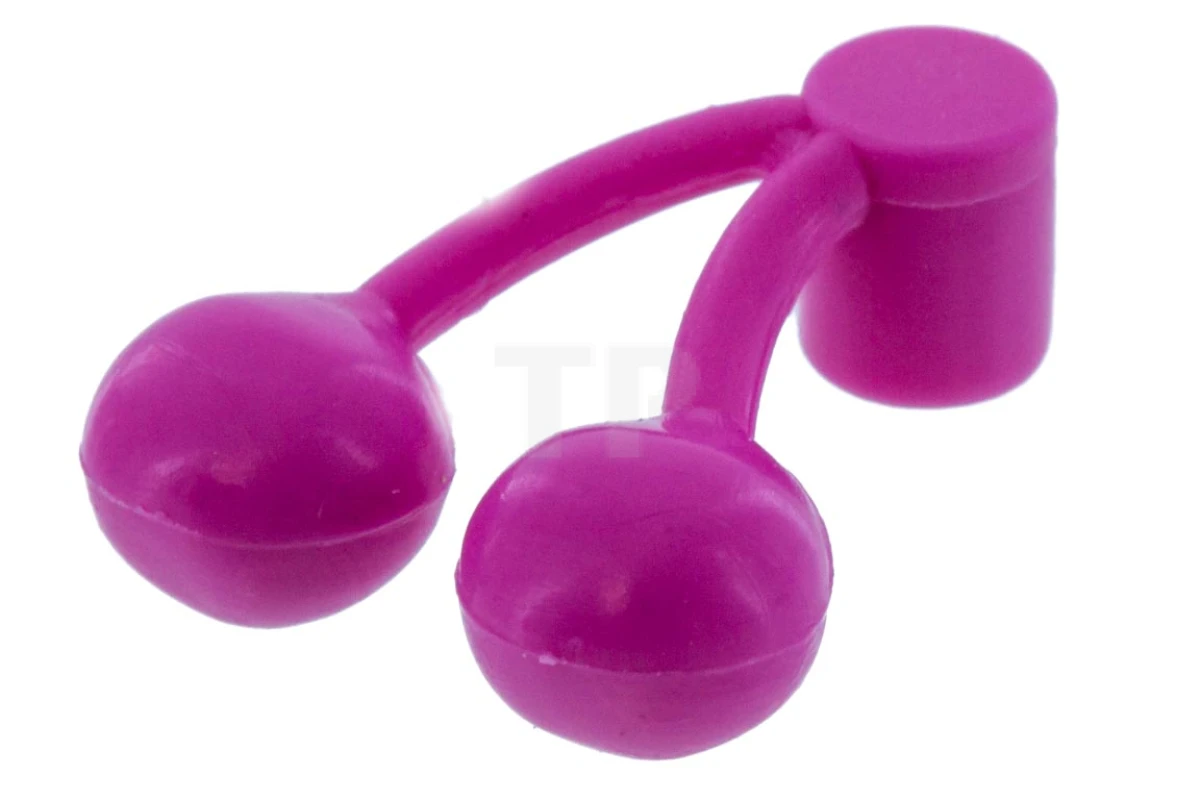 LEGO&reg; 4245320 - 22667 - Cherries