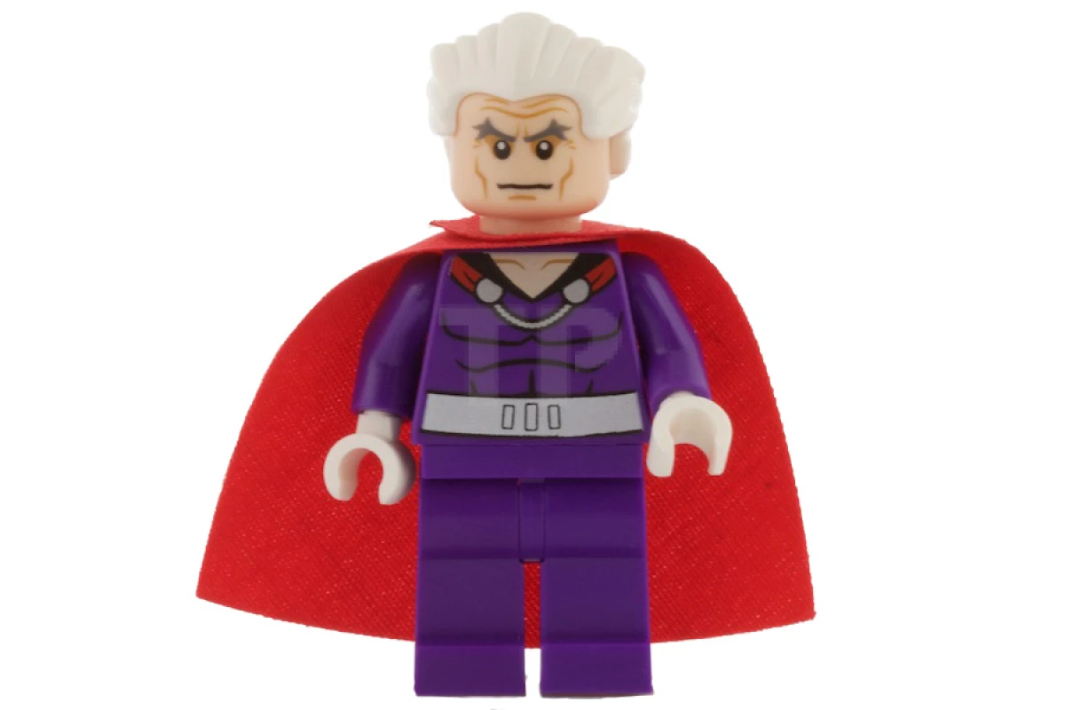 LEGO&reg; sh0119 Magneto