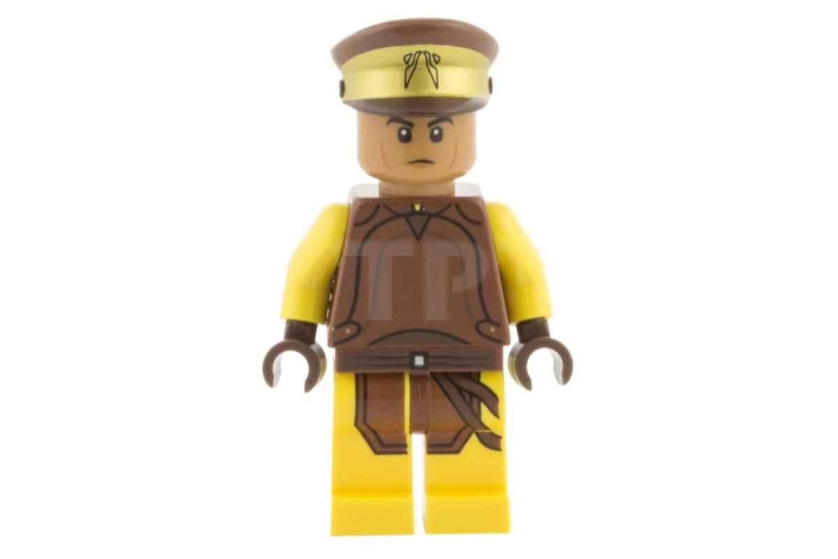LEGO&reg; sw0594 Naboo Security Guard