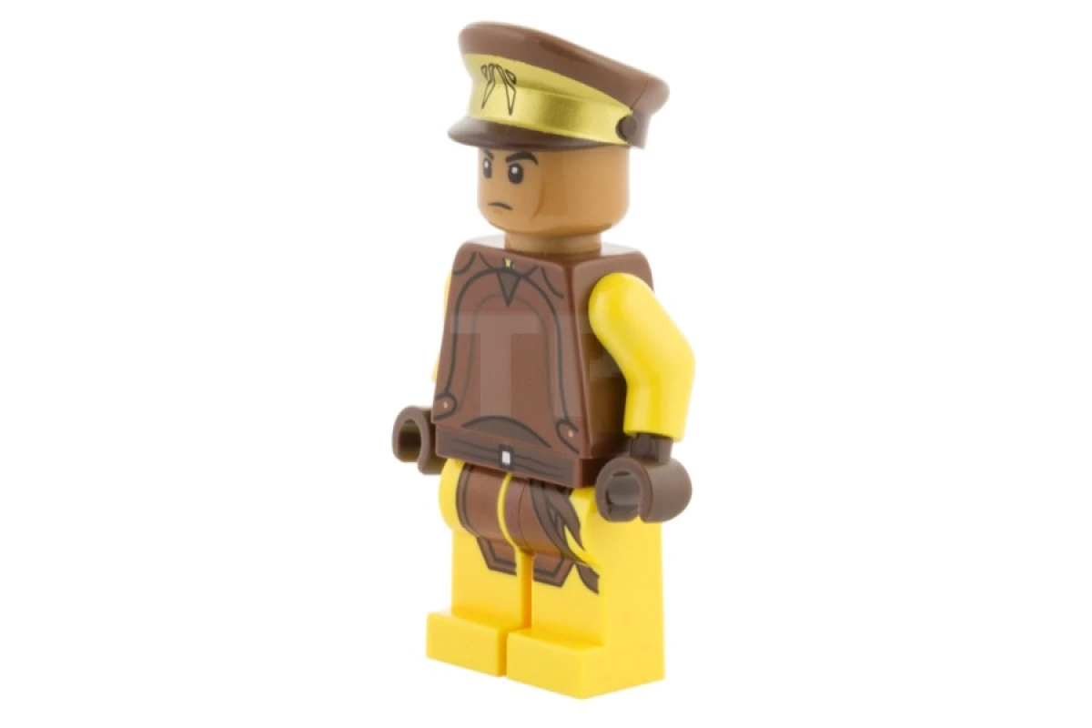 LEGO&reg; sw0594 Naboo Security Guard