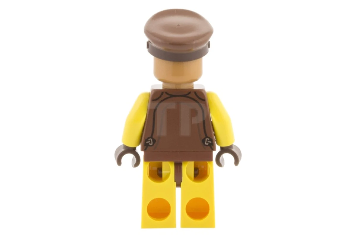 LEGO&reg; sw0594 Naboo Security Guard