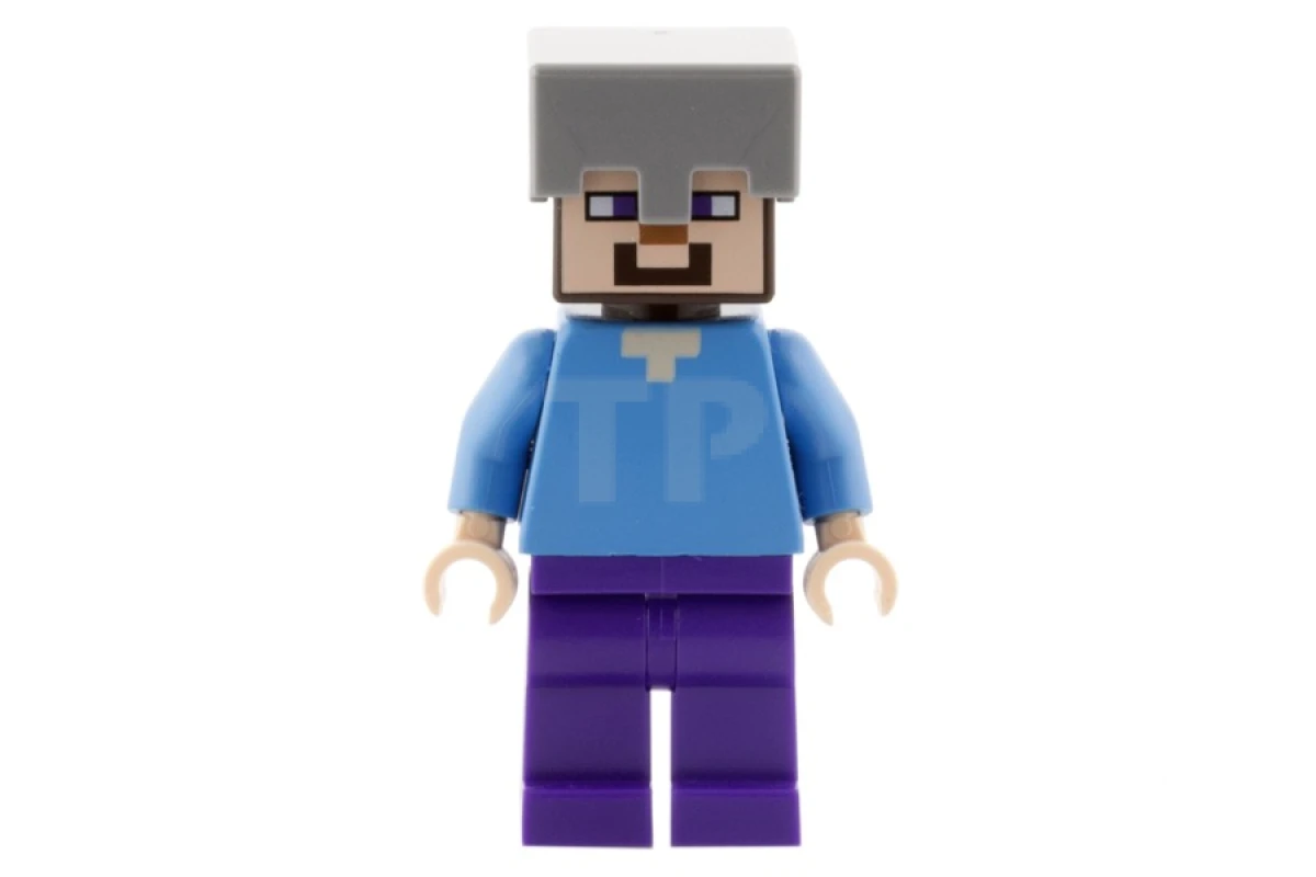 LEGO&reg; min016 Steve