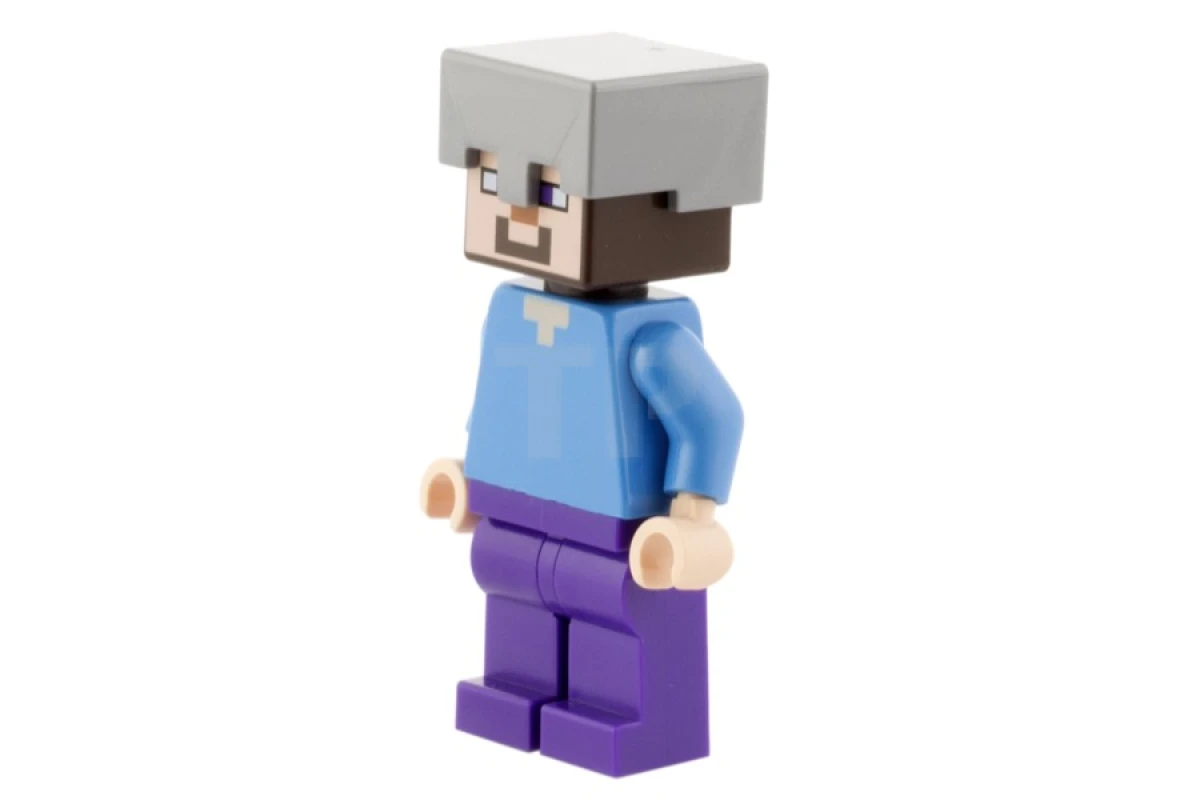 LEGO&reg; min016 Steve