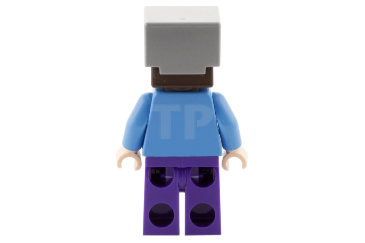 LEGO&reg; min016 Steve