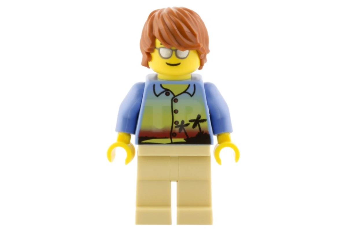 LEGO&reg; twn245 Guy